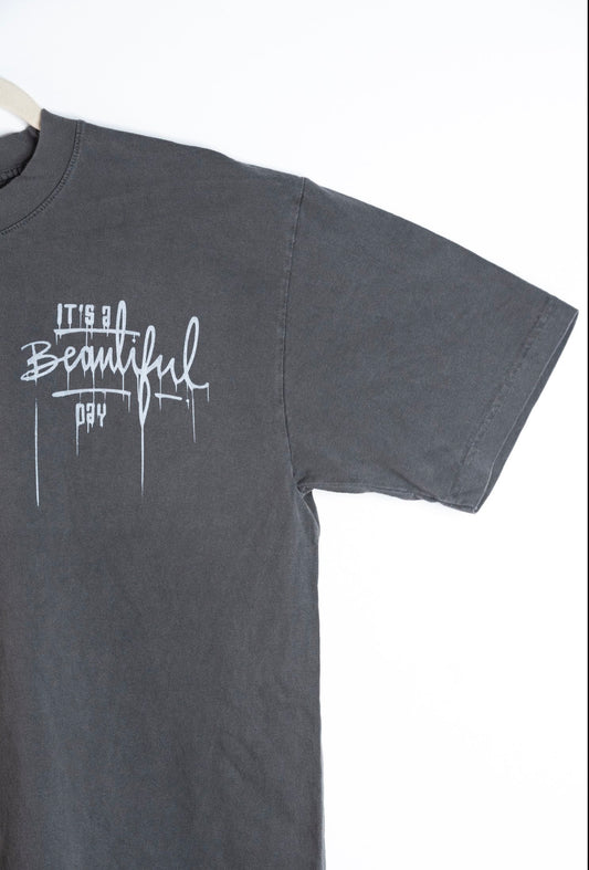 It’s a beautiful Day shirt A